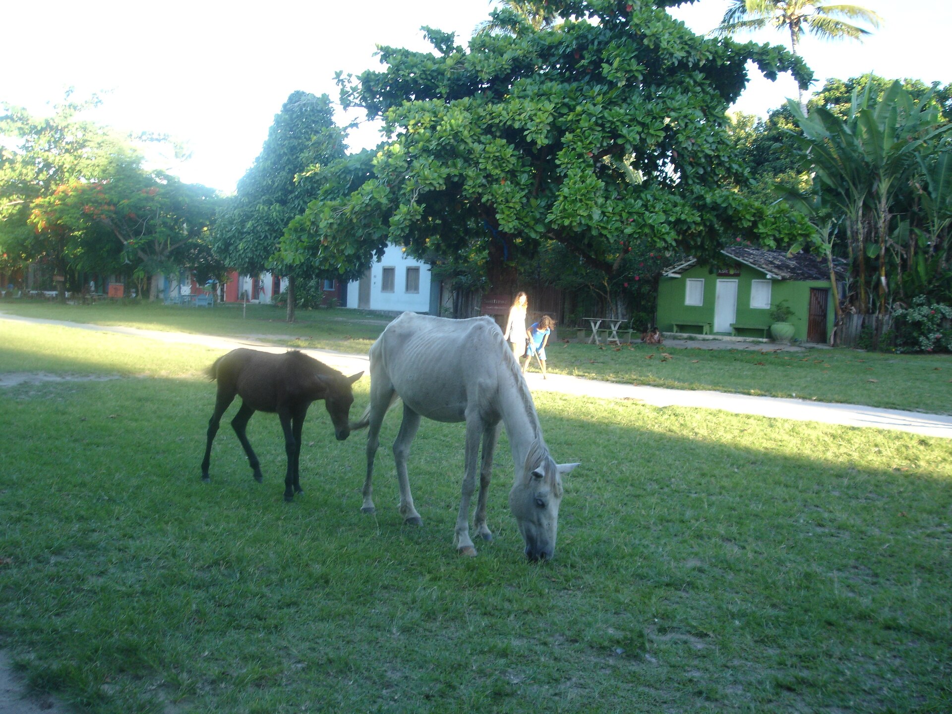 Quadrado de Trancoso